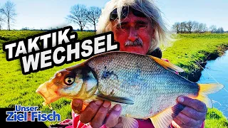 FLACH ODER TIEF? FEEDERN mit der PICKER - Unser Ziel ist Fisch mit JÖRG OVENS