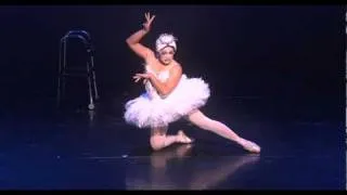 Dying Swan -  "Moshi-Moshii"