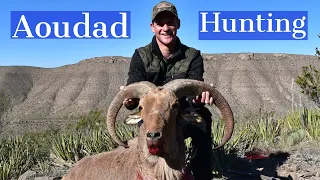 AOUDAD HUNTING TRIP 🐐 | WEST TX |