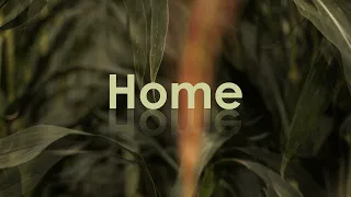 Echo Collective - Home (OST "Queen of Tears")