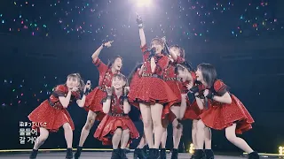 [한글자막] つばきファクトリー ハッピークラッカー ('21 CAMELLIA at Budokan)