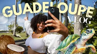 VLOG GUADELOUPE #1 - ON A NAGÉ AVEC UNE TORTUE ! 🐢🌊