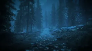 Skyrim - Night Rain Ambiance 2 (ambient music, raindrops, crickets, trees)