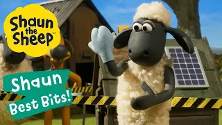 CSI Mossybottom | Shaun the Sheep Best Bits Season 6