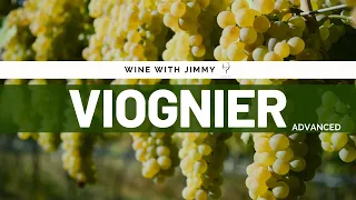 Grape Varieties - Viognier Advanced Version for WSET Level 3 and Level 4 (WSET Diploma)