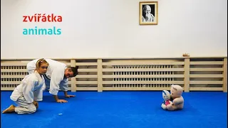 Zvířátka - aikido pro děti 5-10 let / Animals - aikido for children 5-10 years old