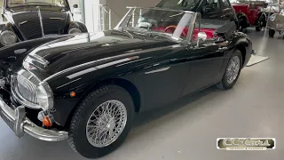 Austin Healey 3000 sort   4K