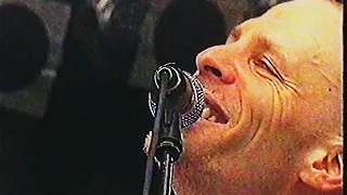 The Presidents Of The USA - Peaches and We Are Not Going To Make It - Live at Pinkpop 1996