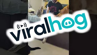 Cat Doesn't Like it When You Touch His Dog Friend || ViralHog