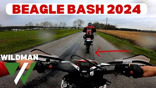 Beagle Bash 2024 - Only completed the first section before Bieber Bang!