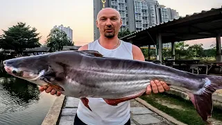 Ночная рыбалка на сома. Сомы по 40 кг или как мы с женой рыбачили в Jomtien Fishing Park в Паттайе.