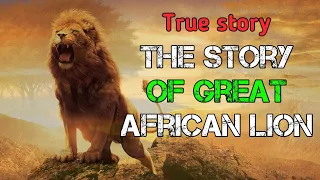 The Lion King Story: A Captivating Tale for All Ages | English stories