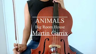 Martin Garrix Animals Cello