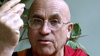 Matthieu Ricard | On Keeping a Vegan or Vegetarian Diet