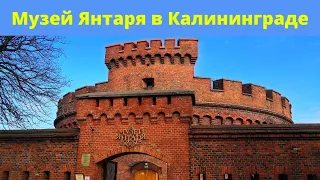 Музей янтаря в Калининграде | Самый большой янтарь в России