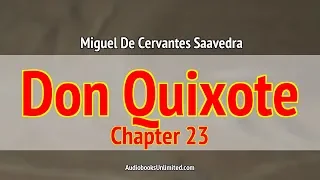 Don Quixote Audiobook Chapter 23