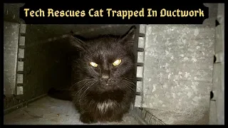 Tech Rescues Cat Trapped In Duct work