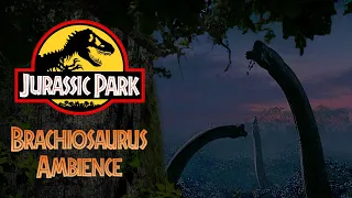 Brachiosaurus Paddock Ambience (Night) - 1 hour version | Jurassic Park