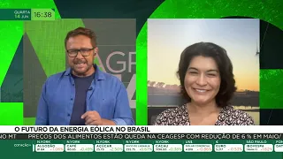 O futuro da energia eólica no Brasil