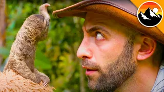 Face to Face... With the CUTEST sloth...EVER!