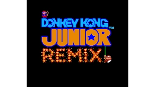 Donkey Kong Junior Remix