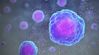 Types of Immune Cells Part 1: Immune Cell Function