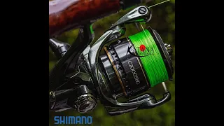 Máy Câu Shimano CARDIFF XR - 2023