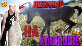 ОДНА НА КОНЮШНЕ😱 Дежурная На Конюшне/ Новый Жеребенок | VLOG