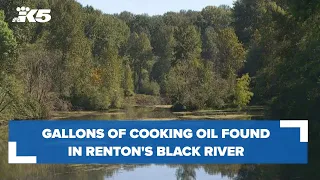 About 100 gallons of cooking oil found in Renton's Black River