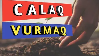 🌳 CALAQ  VURMAQ |Qabıqaltı Calaq Texnikası | Ağaclara Peyvəndin Vurulması | Xartut,CırTut