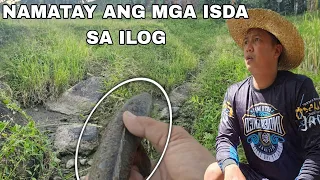 Natuyot ang Ilog sa amin namatay mga isda  Ngayon lang ito nangyari