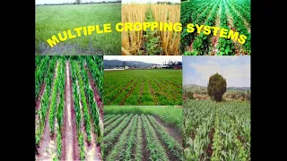 Different cropping systems (Part 1)