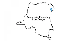 UN peacekeepers killed in D.R. Congo attack