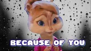 chipettes  -  because of you