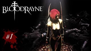 Прохождение Bloodrayne #1 (Вудуистические изыскания арахнолюбов)