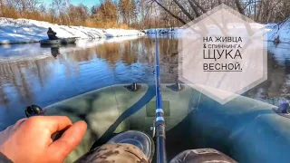 РЫБАЛКА УДАЛАСЬ. ЩУКА ВЕСНОЙ.