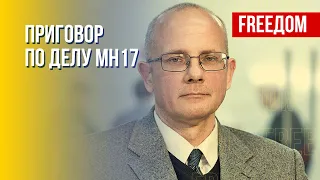 Ответственность за сбитый "Боинг" рейса МН17 несет Путин, – Умланд