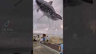 Tiburón gigante!! ⚡ vaya salto!! 🦈