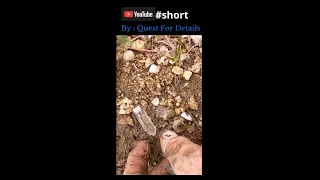 # 5 After The Rain Crazy #short Crystal Hunting - Rockhounding- Huge Haul ! By : Quest For Details