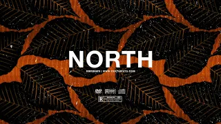 (FREE) | "North" | Wizkid x Popcaan x Jhus Type Beat | Free Beat | Afrobeats Instrumental 2021