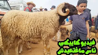 فسوق أحد سبع عيون🐏مواطن كلامه يبكي😭مايقدرش إعيد هاد عام بسبب غلاء 2024/05/12
