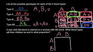 How to solve ABO blood type problems