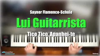 Pa1000/4X - "Tico, Tico / Apanhei-te" - Flamenco # 499