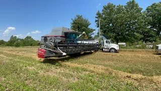 Gleaner R72 harvesting wheat.