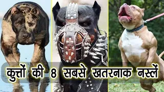 8 Most Dangerous Dog Breeds In The World [Hindi]