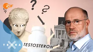 Testosteron: Dein geheimer Superkraftstoff! | Leschs Kosmos | Harald Lesch