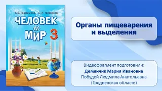 Тема 20. Органы пищеварения и выделения