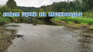 ЛОВЛЯ ЩУКИ НА МЕЛКОВОДЬЕ |  рабочий воблер для этих мест! РЫБАЛКА НА СПИННИНГ ОСЕНЬЮ