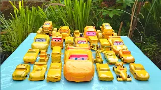 Clean up muddy minicar & Disney car Convoys! Play in the Garden #189