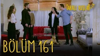 Yaralı Kuşlar 161. Bölüm